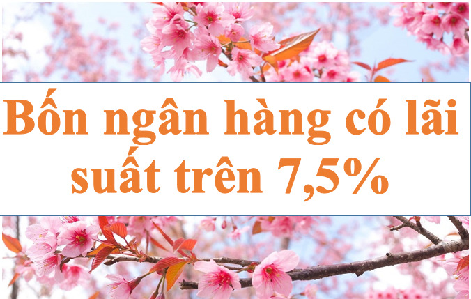 Lãi suất ngân hàng hôm nay 15.7: Bốn ngân hàng có lãi suất trên 7,5%